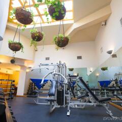 Villa Premiere Boutique Hotel & Romantic Getaway фитнесс-зал фото 2