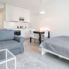 Апартаменты Local Nordic Apartments - Snowy Owl Ювяскюля комната для гостей