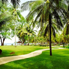 Отель Katathani Phuket Beach Resort развлечения