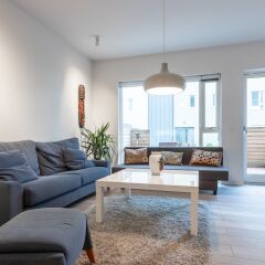 Apartment FR8 in Reykjavik, Iceland from 366$, photos, reviews - zenhotels.com guestroom photo 3