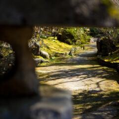 Отель Guest House Kotohira Япония, Хита - отзывы, цены и фото номеров - забронировать отель Guest House Kotohira онлайн фото 3