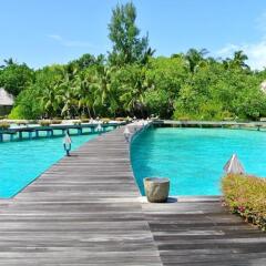 Отель Gangehi Island Resort бассейн фото 3