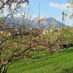 Отель B&B Borgo dei 'Ndree Беллуно фото 2