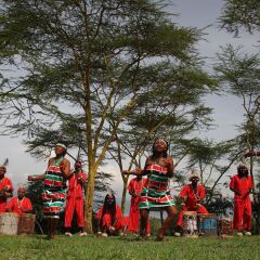 Отель Sarova Lion Hill Game Lodge детские мероприятия