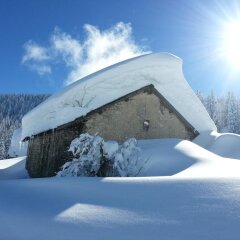 Отель Alaska спортивное сооружение
