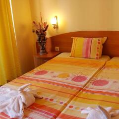 Sunny Paradise Family Hotel комната для гостей фото 5