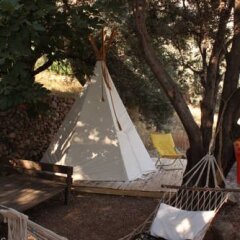 Shiva Camp Турция, Кабак - отзывы, цены и фото номеров - забронировать отель Shiva Camp онлайн помещение для мероприятий фото 2