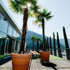 Отель Four Points by Sheraton Bolzano Больцано приотельная территория фото 2
