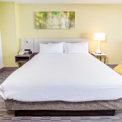 Отель Hilton Garden Inn Orange Beach комната для гостей фото 2