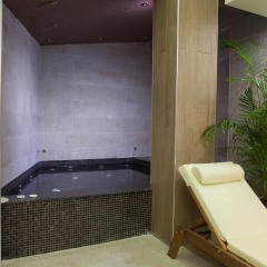 Amira Boutique Hotel Банско спа фото 2