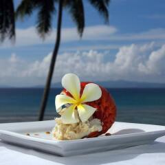 Отель Taveuni Palms Фиджи, Остров Тавеуни - отзывы, цены и фото номеров - забронировать отель Taveuni Palms онлайн спа фото 2