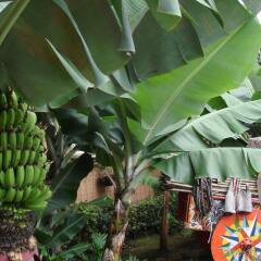 Casa Conde Hotel & Suites фото 11