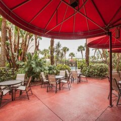 Отель Red Roof Inn PLUS+ Miami Airport фото 5
