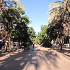 Отель My Address in Barcelona Downtown