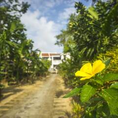 Отель Mr Tho Garden Villas фото 15