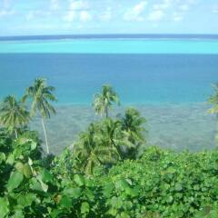 Отель B&B Nature Song Island Французская Полинезия, Хуахине - отзывы, цены и фото номеров - забронировать отель B&B Nature Song Island онлайн пляж