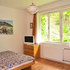 Отель Vila Daniela Чехия, Карловы Вары - отзывы, цены и фото номеров - забронировать отель Vila Daniela онлайн комната для гостей фото 5