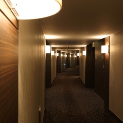 Lotte City Hotel Gimpo Airport интерьер отеля фото 3