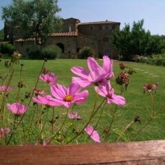 Отель Agriturismo Ca Lucano Ареццо фото 3