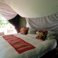 Croc Valley Camp in South Luangwa National Park, Zambia from 61$, photos, reviews - zenhotels.com guestroom photo 5