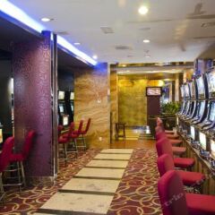 Отель Petrosetco Hotel Вьетнам, Вунгтау - отзывы, цены и фото номеров - забронировать отель Petrosetco Hotel онлайн развлечения
