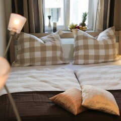Отель Flatprovider Cosy Dittmann Apartment Австрия, Вена - отзывы, цены и фото номеров - забронировать отель Flatprovider Cosy Dittmann Apartment онлайн комната для гостей фото 2