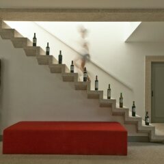 The Wine House Hotel - Quinta Da Pacheca Ламего с домашними животными