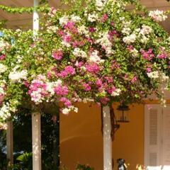 Отель Polkerris Bed & Breakfast