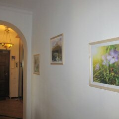 Гостиница Hostel Trilev в Москве отзывы, цены и фото номеров - забронировать гостиницу Hostel Trilev онлайн Москва интерьер отеля
