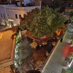 Goreme House Турция, Гёреме - отзывы, цены и фото номеров - забронировать отель Goreme House онлайн фото 3