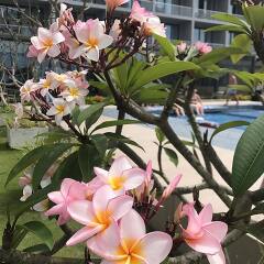Отель Club Waskaduwa Beach Resort & Spa Шри-Ланка, Ваддува - отзывы, цены и фото номеров - забронировать отель Club Waskaduwa Beach Resort & Spa онлайн фото 5