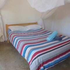 Lusaka Backpackers in Lusaka, Zambia from 33$, photos, reviews - zenhotels.com guestroom photo 2