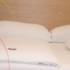 Отель GAL Apartments Vienna Австрия, Вена - отзывы, цены и фото номеров - забронировать отель GAL Apartments Vienna онлайн парковка