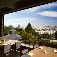 Отель Grand Hyatt Seoul Южная Корея, Сеул - отзывы, цены и фото номеров - забронировать отель Grand Hyatt Seoul онлайн балкон