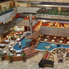 Maksoud Plaza Hotel Distributed by Accorhotels бассейн фото 3