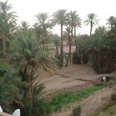 Отель Riad Tagmadart Ferme D'hôte Марокко, Загора - отзывы, цены и фото номеров - забронировать отель Riad Tagmadart Ferme D'hôte онлайн детские мероприятия