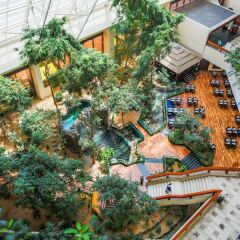 Отель Radisson Blu Resort, Sharjah ОАЭ, Шарджа - 6 отзывов об отеле, цены и фото номеров - забронировать отель Radisson Blu Resort, Sharjah онлайн фото 10