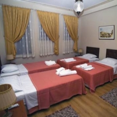 Shamrock Hotel комната для гостей фото 4