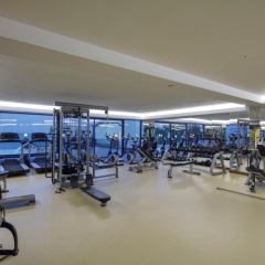 Granada Luxury Resort & Spa Турция, Аланья - 1 отзыв об отеле, цены и фото номеров - забронировать отель Granada Luxury Resort & Spa онлайн фитнесс-зал фото 4