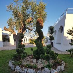 Отель La Casarana Resort & Spa Италия, Пресичче - отзывы, цены и фото номеров - забронировать отель La Casarana Resort & Spa онлайн фото 11