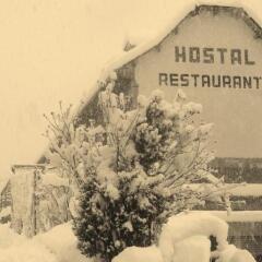 Отель Hostal Restaurante Asador Panart спа