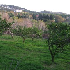 Отель Quinta Raposeiros