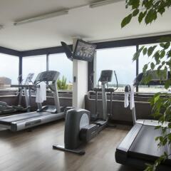 Отель Crowne Plaza Geneva Швейцария, Женева - отзывы, цены и фото номеров - забронировать отель Crowne Plaza Geneva онлайн фитнесс-зал