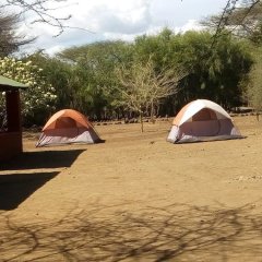 Snake Park Campsite in Lake Manyara, Tanzania from 83$, photos, reviews - zenhotels.com beach photo 2