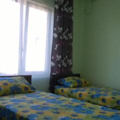 Гостиница Alpic Guest House фото 27