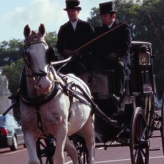 Отель Sofitel London St James спортивное сооружение