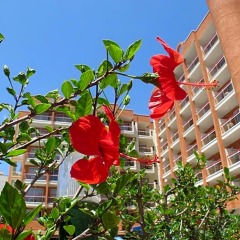 Отель Ohtels Belvedere фото 8