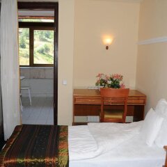 Hotel Makpetrol Mavrovo in Lazaropole, Macedonia from 79$, photos, reviews - zenhotels.com guestroom photo 4