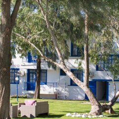 Отель Mavi Zeytin Butik Otel детские мероприятия фото 2