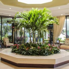 Boca Raton Plaza Hotel Suites In Boca Raton United States - 